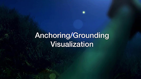 Anchoring Visualization